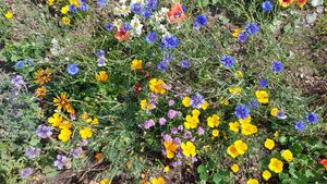 Photo 14- click for photo gallery